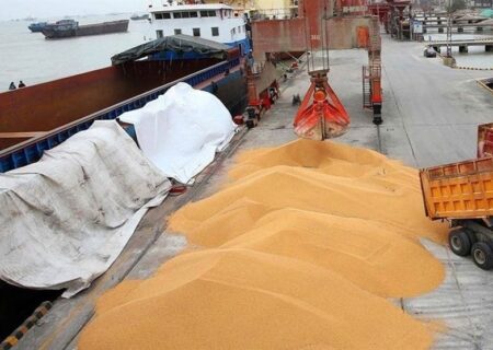 ذخیره 4 میلیون تن گندم به عنوان ذخایر استراتژیک