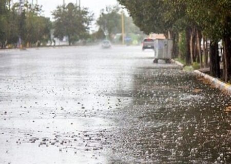 سیلاب‌های اخیر فارس/ جان پنج نفر گرفت و کشاورزی را ویران کرد