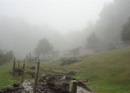 گردشگری پاییزی| ماجراجویی در قلب طبیعت بکر غرب ایران/ سفر به جغرافیای آرامش با چالش “مه”