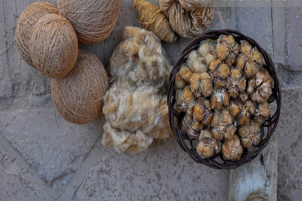 راز پنبه قهوهای خوسف؛ میراث ۵۰۰ ساله در دور باطل نخ ریسی گرفتار شد