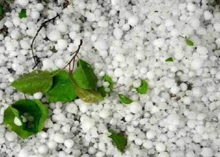 بارش تگرگ به مزارع کاهو و ذرت در روستاهای کازرون خسارت زد