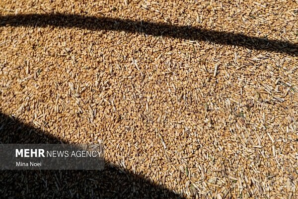 نوزدهمین شناور کالای اساسی در بندر شهید رجایی پهلودهی شد