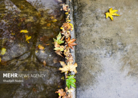 پیش‌بینی بارش‌های پراکنده و رگباری برای لرستان