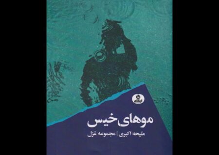 آسیب شعر امروز، از روی هم نویسی است/ نماینده زنان معمولی جامعه‌ام