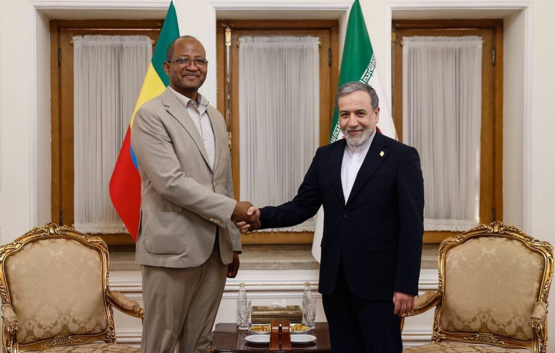 دیدار و گفتگوی رئیس مجلس نمایندگان اتیوپی با عراقچی