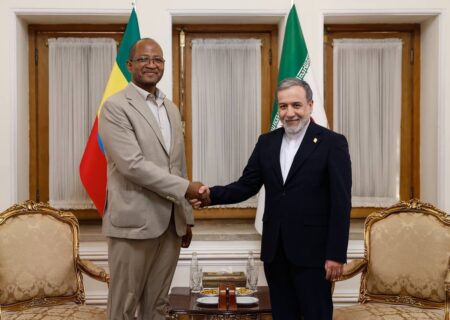 دیدار و گفتگوی رئیس مجلس نمایندگان اتیوپی با عراقچی