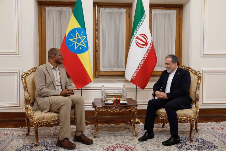 دیدار و گفتگوی رئیس مجلس نمایندگان اتیوپی با عراقچی