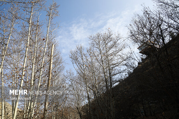 اثمری: دمای مشهد در سردترین ساعات به ۳ درجه خواهد رسید