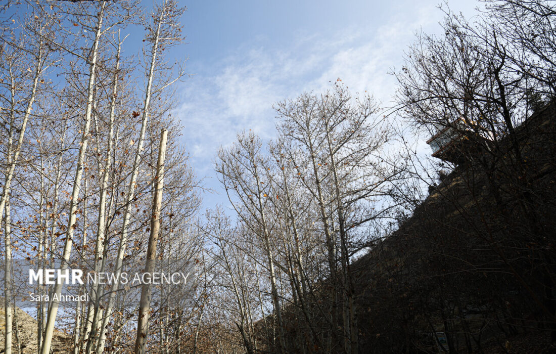 اثمری: دمای مشهد در سردترین ساعات به ۳ درجه خواهد رسید