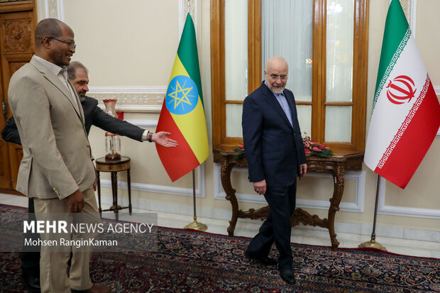 دیدار رئیس مجلس اتیوپی با رئیس مجلس شورای اسلامی