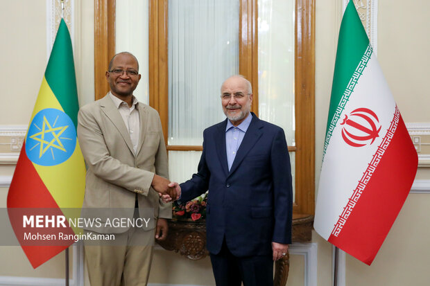 دیدار رئیس مجلس اتیوپی با رئیس مجلس شورای اسلامی