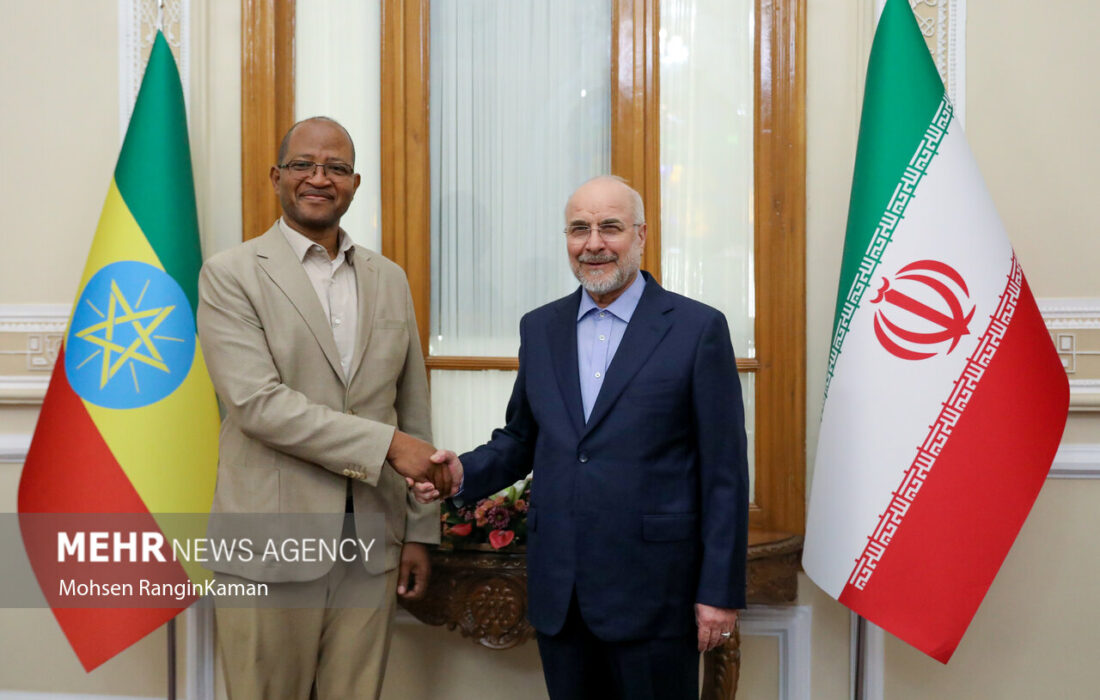 دیدار رئیس مجلس اتیوپی با رئیس مجلس شورای اسلامی