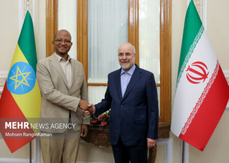 دیدار رئیس مجلس اتیوپی با رئیس مجلس شورای اسلامی