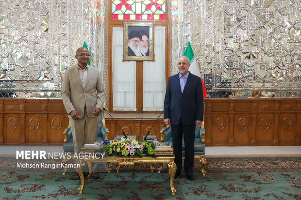دیدار رئیس مجلس اتیوپی با رئیس مجلس شورای اسلامی