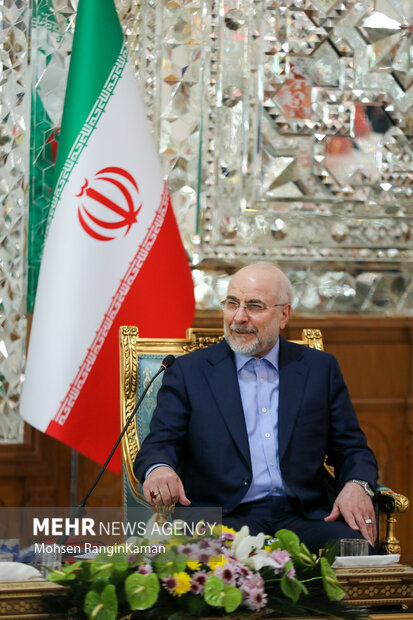 دیدار رئیس مجلس اتیوپی با رئیس مجلس شورای اسلامی