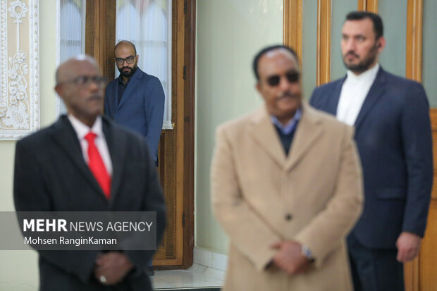 دیدار رئیس مجلس اتیوپی با رئیس مجلس شورای اسلامی