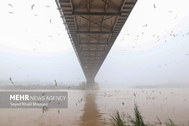 اهواز در مه