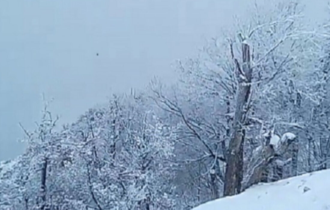 بارش برف پاییزی در گلیل ادامه دارد