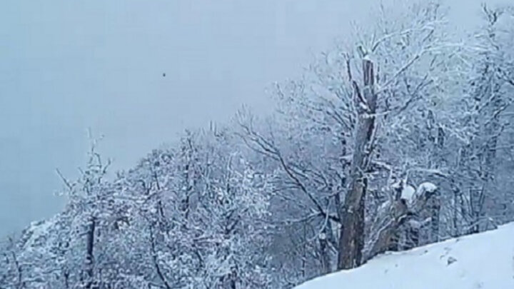 بارش برف پاییزی در گلیل ادامه دارد