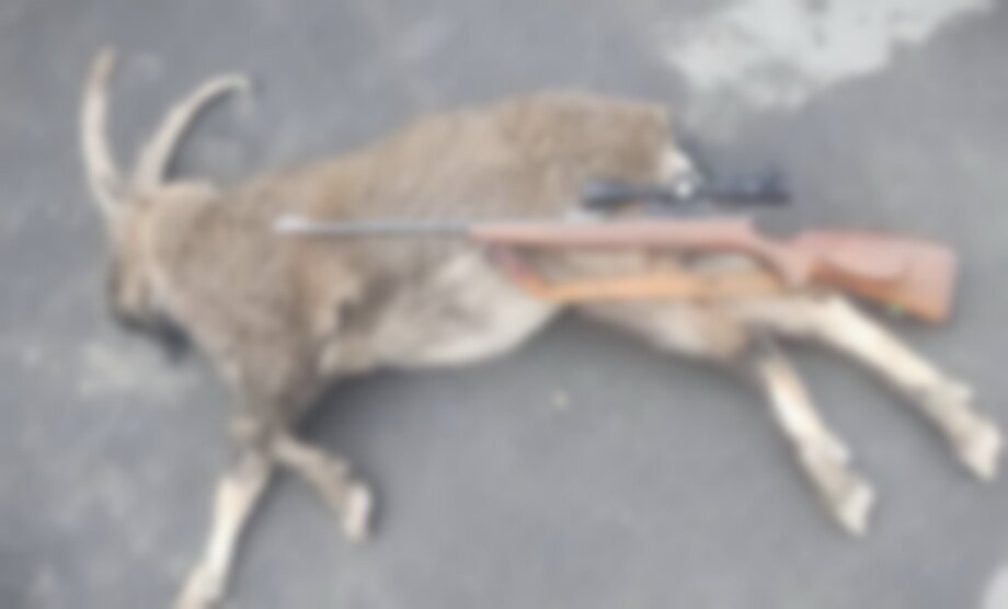 دستگیری شکارچی متخلف در منطقه حفاظتشده البرز جنوبی