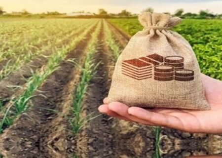 عشایری:  ۴۵۷ هزار هکتار از اراضی زراعی آذربایجان غربی بیمه شدند