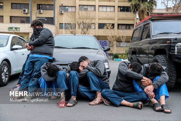 سارقان مسلح در جنوب تهران دستگیر شدند