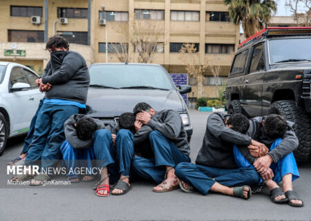 سارقان مسلح در جنوب تهران دستگیر شدند